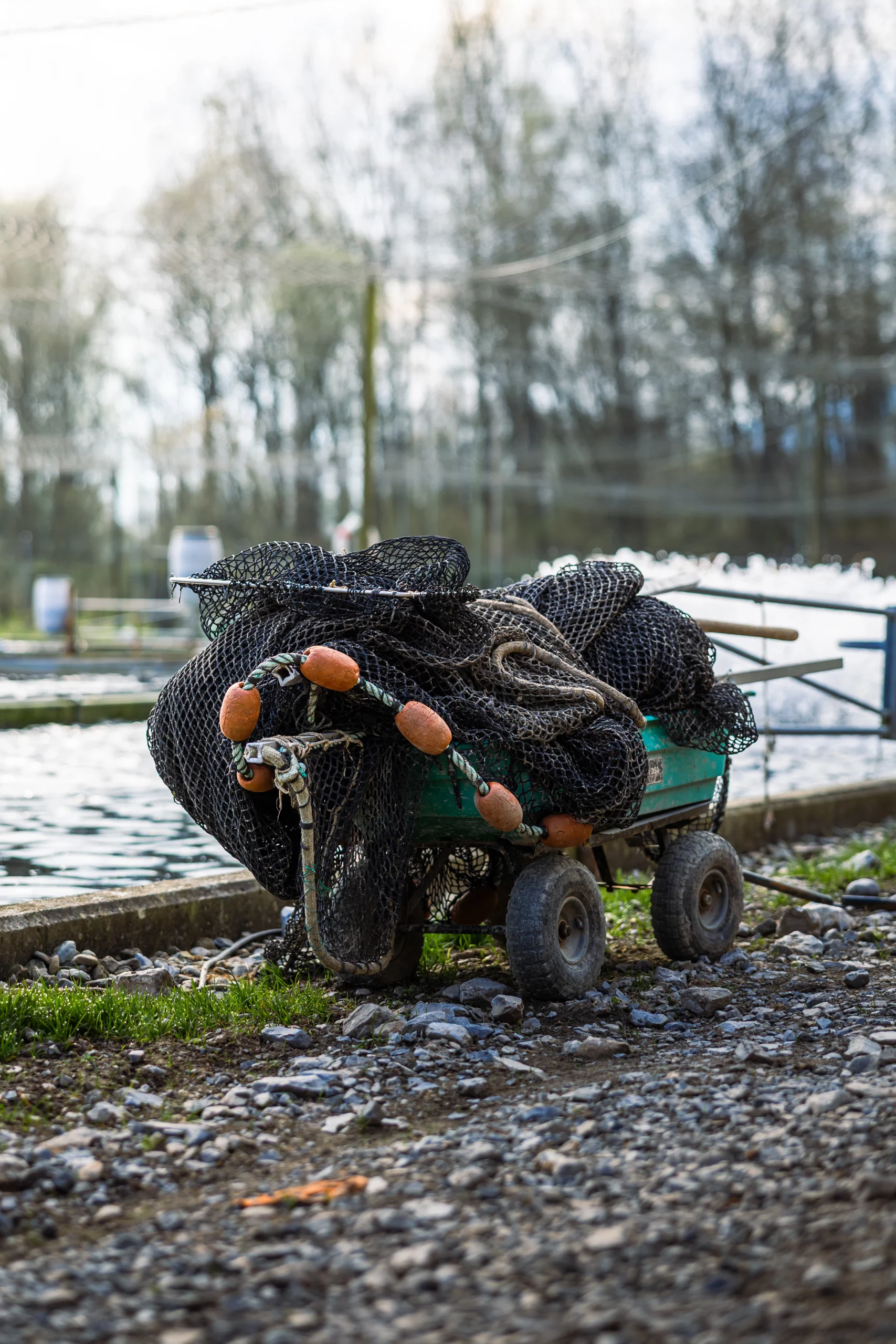 Parcours visiteur - élevage