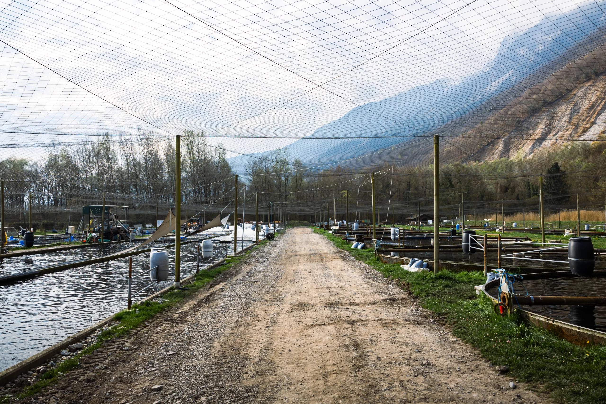 Parcours visiteur - bassins
